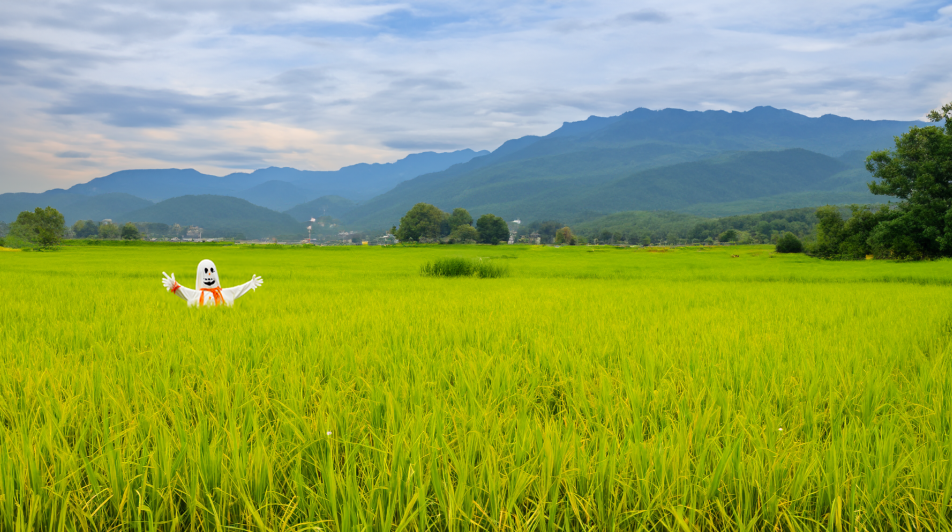 【fiddler下载】Fiddler中文版 v5.0.2018.14580 官方最新版-1